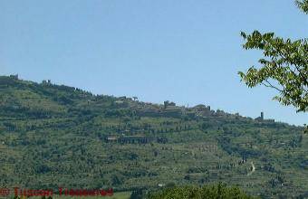 View of Cortona